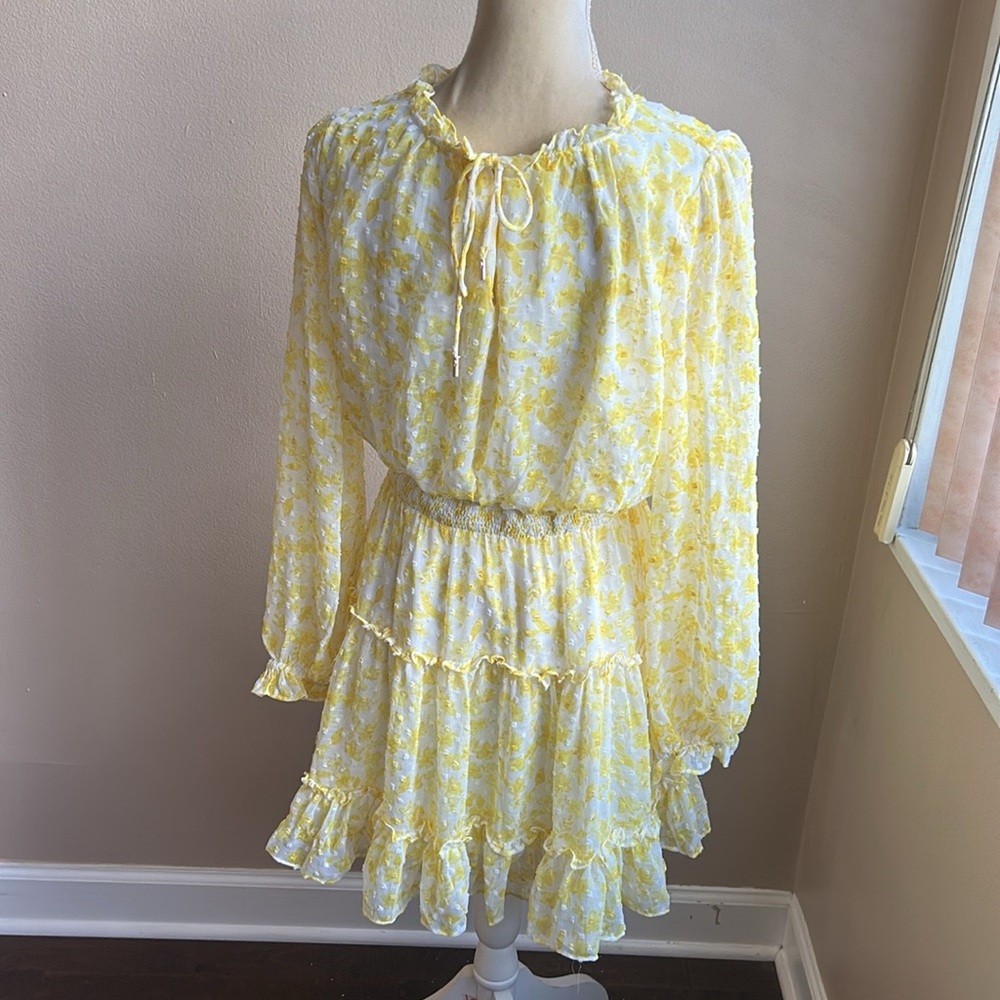 Womens  Long Sleeve Dress Sz M Ruffle Detail Swiss Dot 3425 - Picture 2 of 2